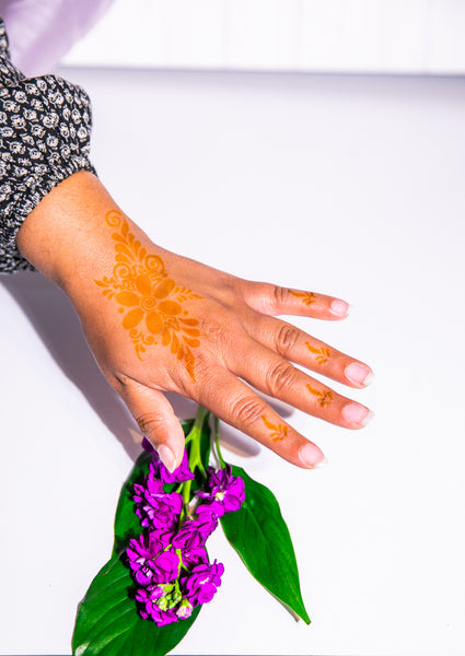 DIY Stencils Henna Kit